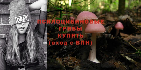 экстази Алексин