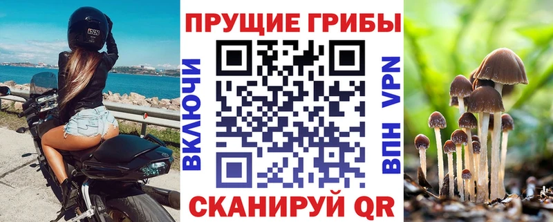 Псилоцибиновые грибы MAGIC MUSHROOMS  Новосиль 